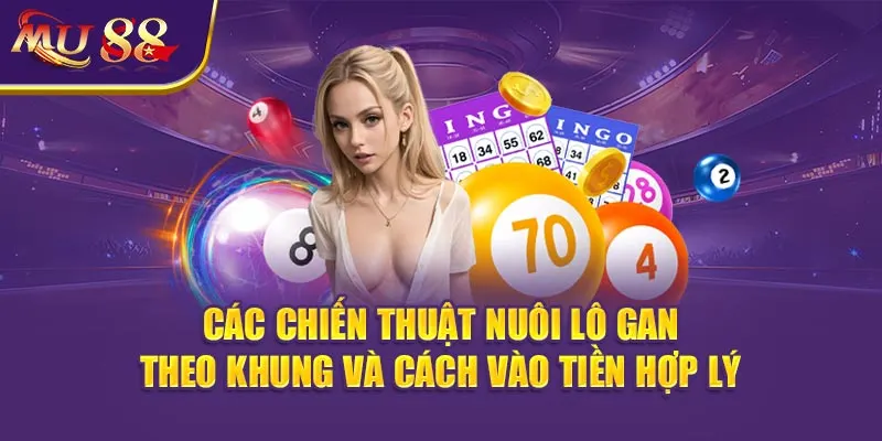 Các chiến thuật nuôi Lô gan theo khung và cách vào tiền hợp lý.
