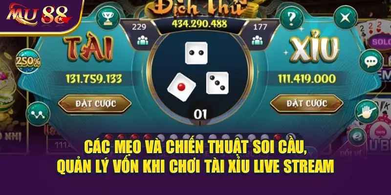Các mẹo và chiến thuật soi cầu, quản lý vốn khi chơi tài xỉu live stream.