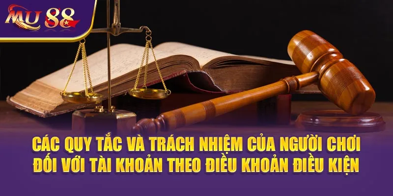 Các quy tắc và trách nhiệm của người chơi đối với tài khoản theo Điều khoản Điều Kiện.