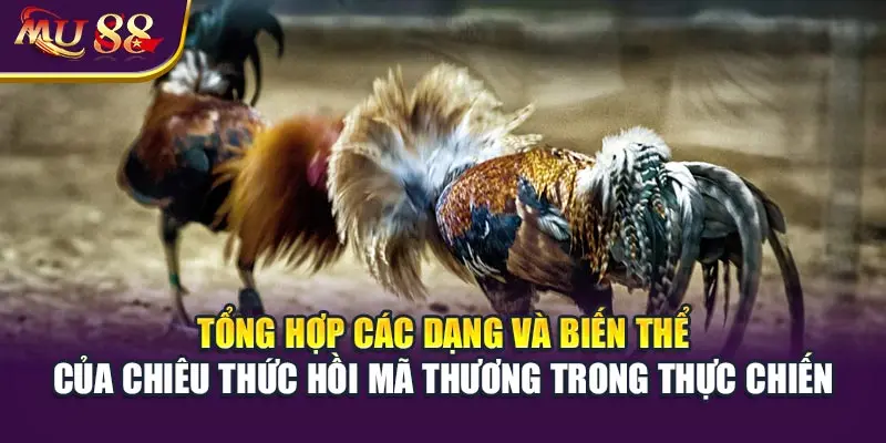 Tổng hợp các dạng và biến thể của chiêu thức hồi mã thương trong thực chiến.