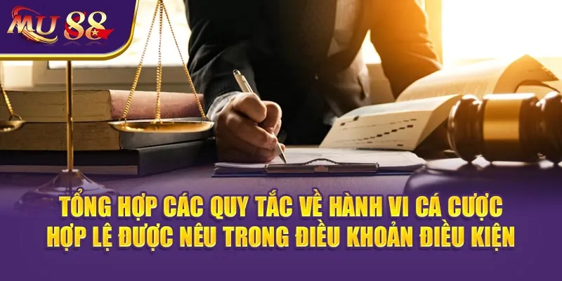 Tổng hợp các quy tắc về hành vi cá cược hợp lệ được nêu trong Điều khoản Điều Kiện.