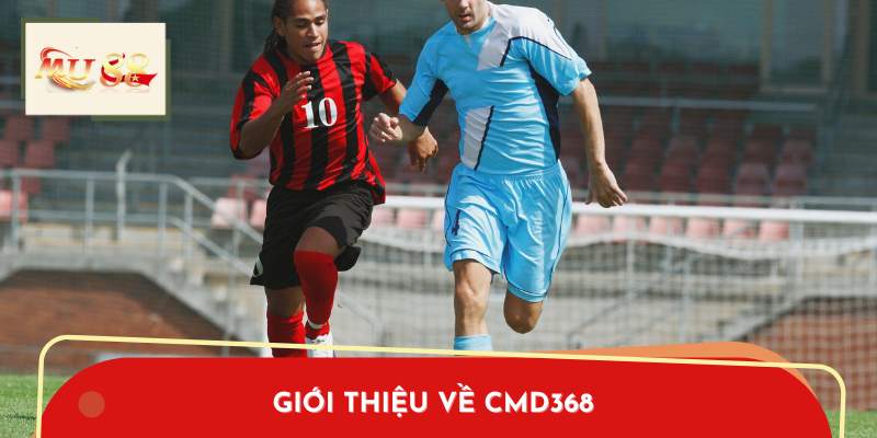 Giới thiệu về CMD368