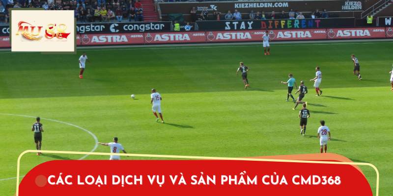 Các loại dịch vụ và sản phẩm của CMD368